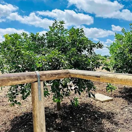 בית נופש Pajara Contrada Morusi מרטאנו