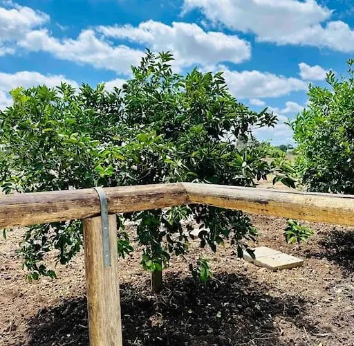 Nyaraló Pajara Contrada Morusi Martano